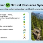 natural-resources-synonym