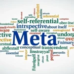 Synonyms for Meta