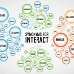 Synonyms-for-Interact