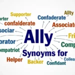 Synonyms-for-Ally