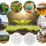 Synonyms-for-Organic