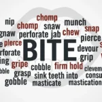 Synonyms-for-bite