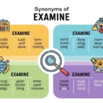 Synonyms-of-Examine