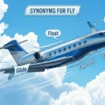 Synonyms-for-Fly